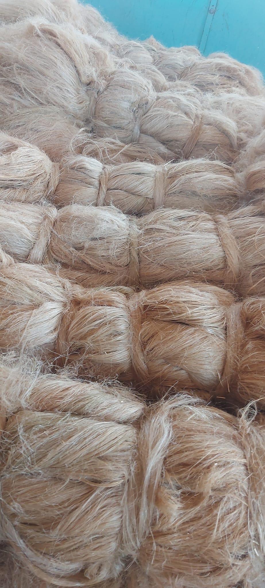 Egyptian scutched flax fiber — view 2